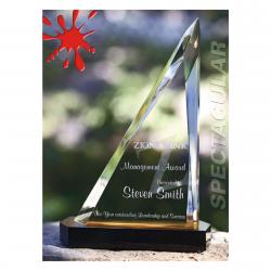 Presidential Triangle award, 12" High