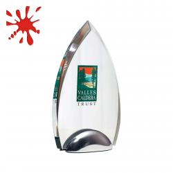 Investment Spear award, 10" High