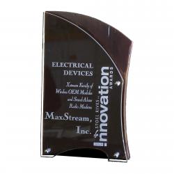 Rustic Red Alder award, 10" High
