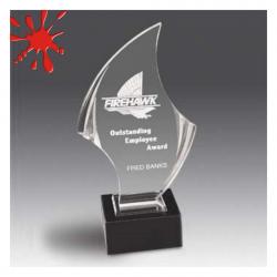 Acrylic Saber Award, 6" wide x 11" tall x 3" deep