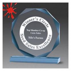 Acrylic Beveled Octagon Award, 3/4" Thick clear, jade or blue acrylic, 8" wide x 8.75" tall x 2" deep