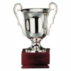 SILVER PLATED TROPHY