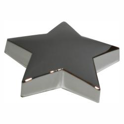Silver Star Paperweight, 4.25" wide x 1" tall x 4.25" deep
