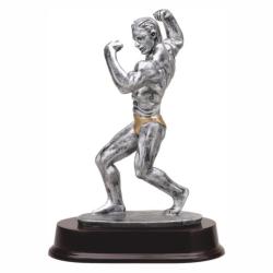 Bodybuilding (male) Resin Trophy, pewter with gold accents, 9.5" High