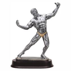 Bodybuilding (male) Resin Trophy, pewter with gold accents, 12" High