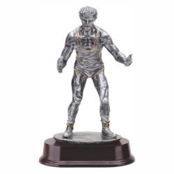Wrestling (male) Resin Trophy, pewter with gold accents, 9.5" High