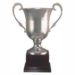 Silver Finish Trophy-mahogany Base, 10.75" High