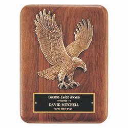 Bronze Eagle Casting Plaque, 9" wide x 12" tall