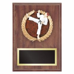 Karate Plaque with Resin Relief, 7" wide X 9" wide