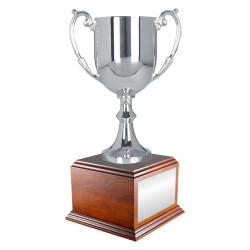 Silver Metal Cup on Wood Base, 5.25" wide x 12" tall