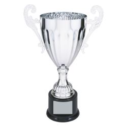 SILVER FINISH METAL CUP