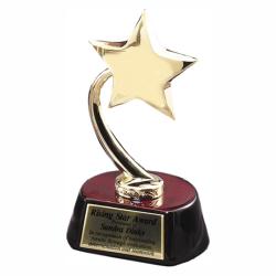 Gold Star on Rosewood Base, 4.25" wide x 7.5" tall x 3" deep