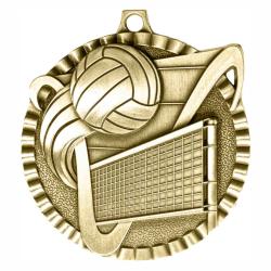 Volleyball V Series Medal, 2"