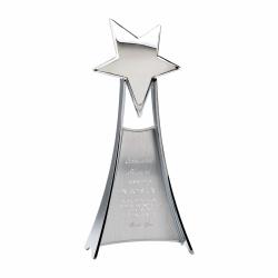 Shooting Star Award, die Cast Metal Award, 4.75" wide x 11" tall