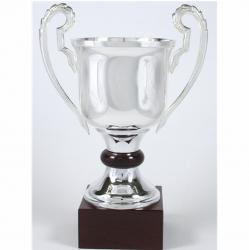 SILVER PLATED TROPHY 